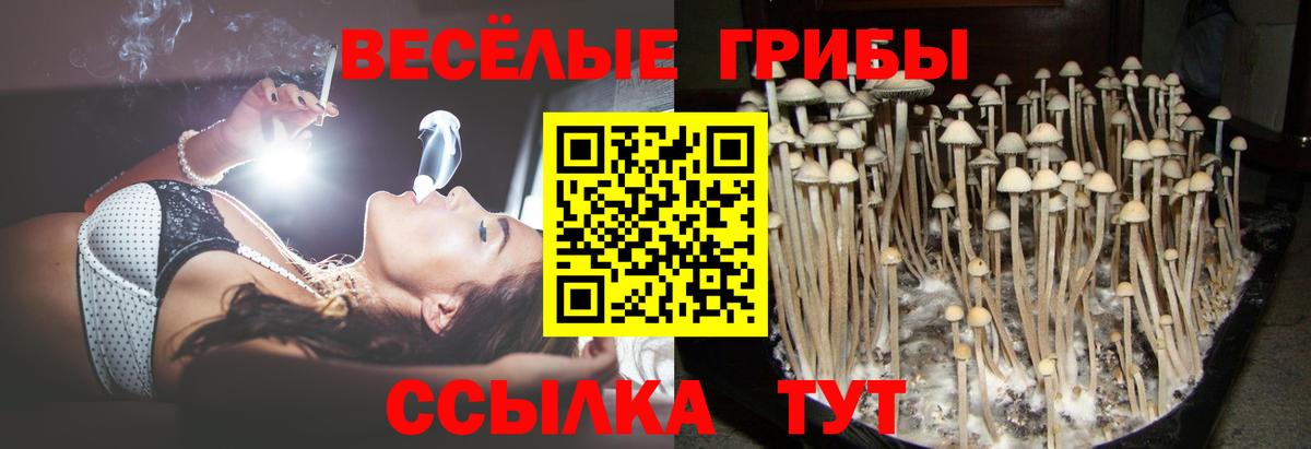 Псилоцибиновые грибы Magic Shrooms Стрежевой